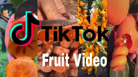 fruit tubes tiktok|Fruit.